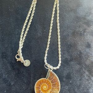 Elegant Silver Nautilus Pendant Necklace